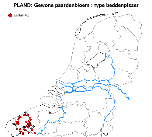 beddenpisser